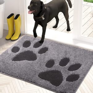 Bathroom Rugs Mat 20" x 31.5", Non-Skid/Slip Machine Washable Microfiber Entryway Rug, Dog Floor mats, Super Absorbent Welcome Mat for Muddy Wet Shoes and Paws, Grey